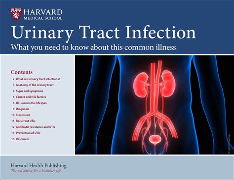 sore uei|Urinary tract infections (UTIs): Causes, symptoms and treatment